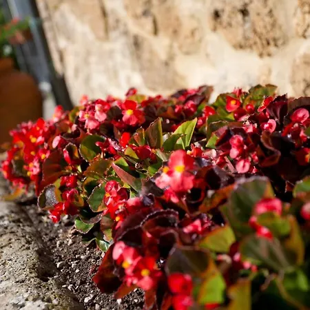 Holiday home San Galgano Chiusdino